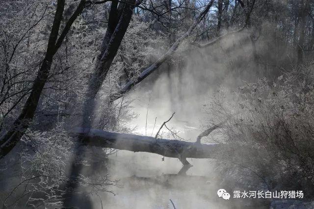 逃离拼图花园